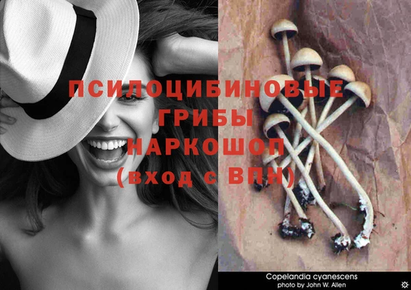 соль курить ск Беломорск