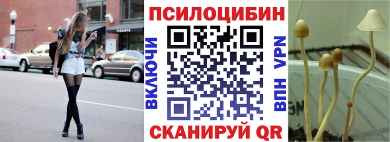 Купить где  Нерюнгри  Галлюциногенные грибы мицелий 