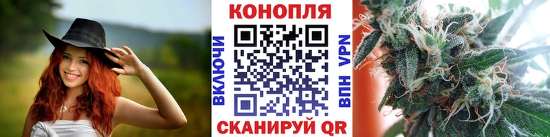 Каннабис Amnesia  Купить где  Нерюнгри 